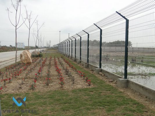 10171208 296746493817323 5218695635452727826 n